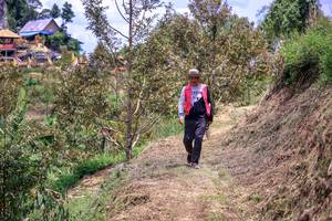 BIB: 
                            <button type="button" onclick="openModal(24843068)" class="btn btn-primary btn-sm float-right btn-popup" data-toggle="modal" data-target=".modal-high-quality">
                        <i class="fas fa-shopping-cart"></i> Add to Cart
                    </button>
                                            <button type="button" onclick="isThisMe(24843068, true)" class="btn btn-success btn-sm float-right btn-popup btn-isme hidden" data-toggle="tooltip" data-placement="bottom" title="นี่คือรูปของคุณใช่ไหม คลิกที่นี่เพื่อเอาเข้าอัลบั้ม">
                        <i class="fas fa-plus"></i> Add to album
                    </button>
                    <button type="button" onclick="isThisMe(24843068, false)" class="btn btn-warning btn-sm float-right btn-popup btn-isnotme hidden">
                        <i class="fas fa-ban"></i> Remove from album
                    </button>